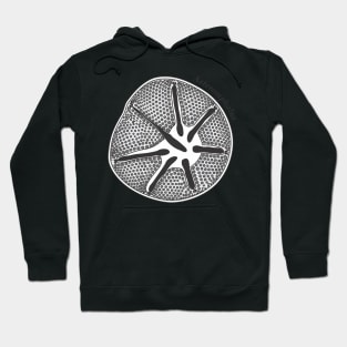 Diatom - Asteromphalus (scientific) Hoodie